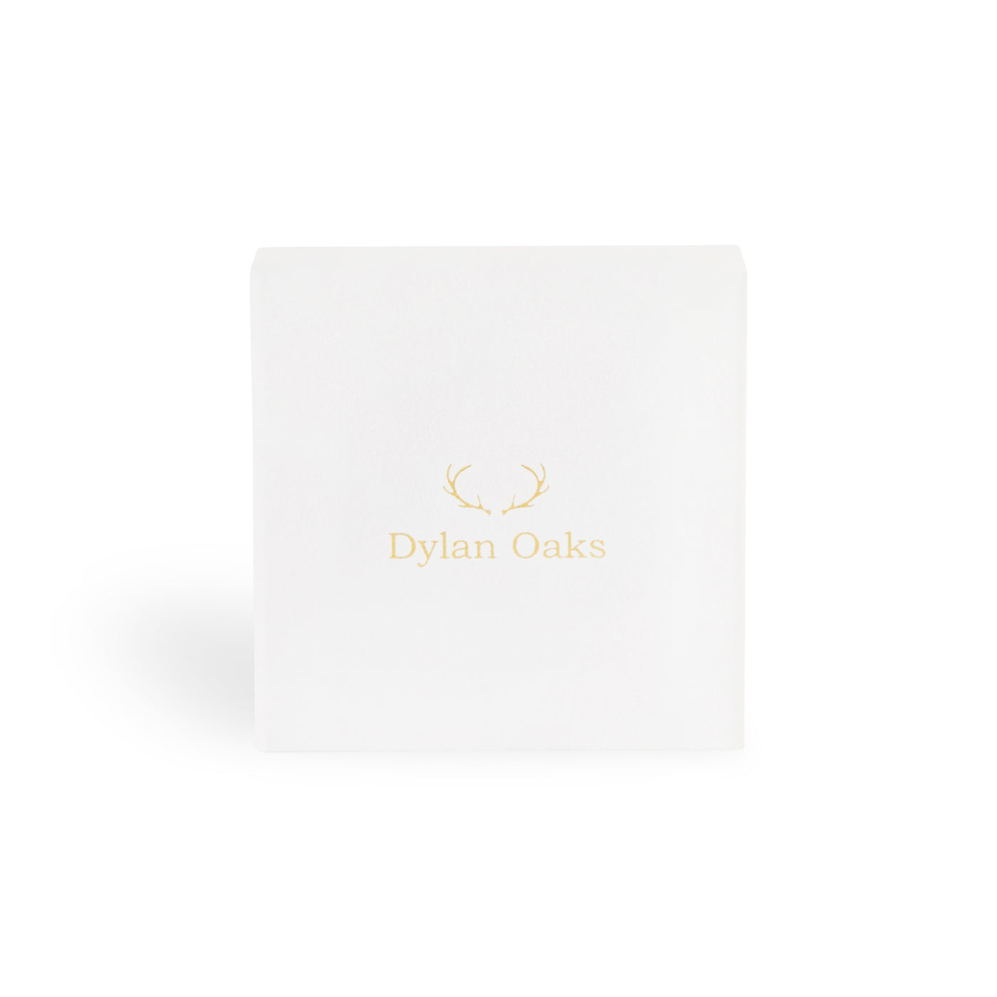 Radiance Stud Earrings In Silver